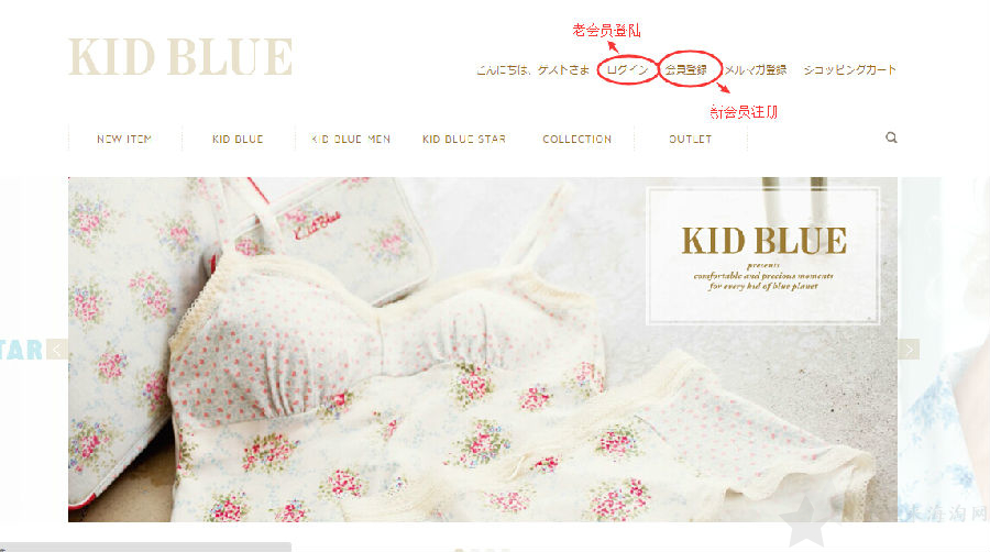 1.jpg 日本内衣品牌Kid Blue官网下单海淘攻略0