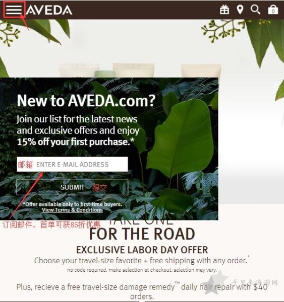 Aveda艾凡达美国官网下单购物海淘攻略1